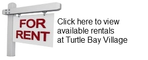 tbv rentals
